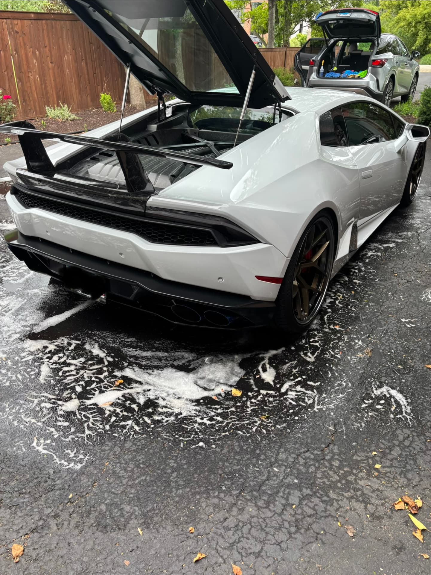 Rear of a white Lamborghini with clean wheels and glossy paint after a hand wash in a driveway